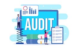 Audit review